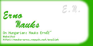 erno mauks business card